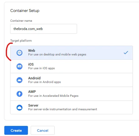 Google Tag Manager: створення контейнера з назвою thebroda.com_web і платформою Web